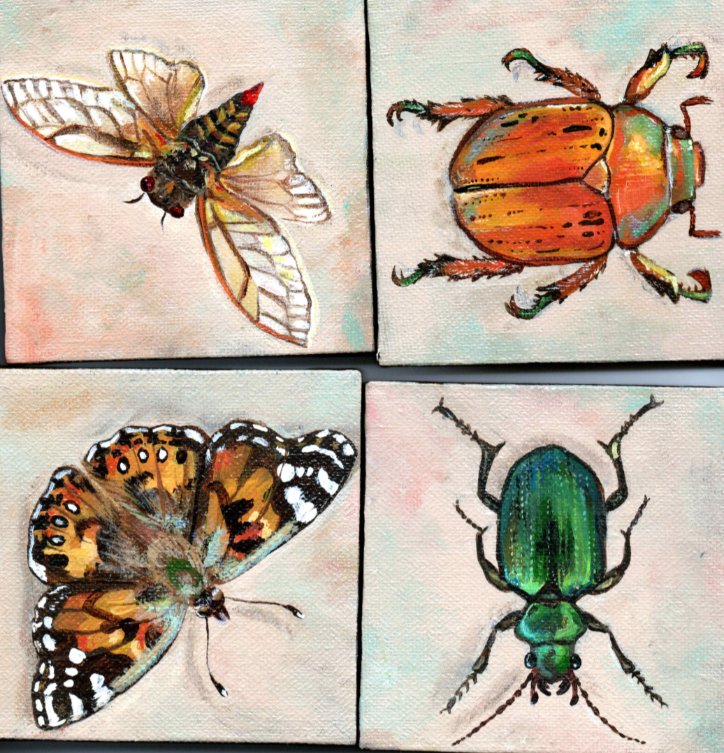 Trade Ants for Art!!